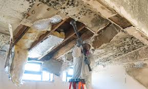 Mold Remediation for Vacation Homes in Eagar, AZ